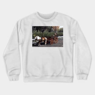 MINITURE PONÝ AND TRAP IN LONDON Crewneck Sweatshirt